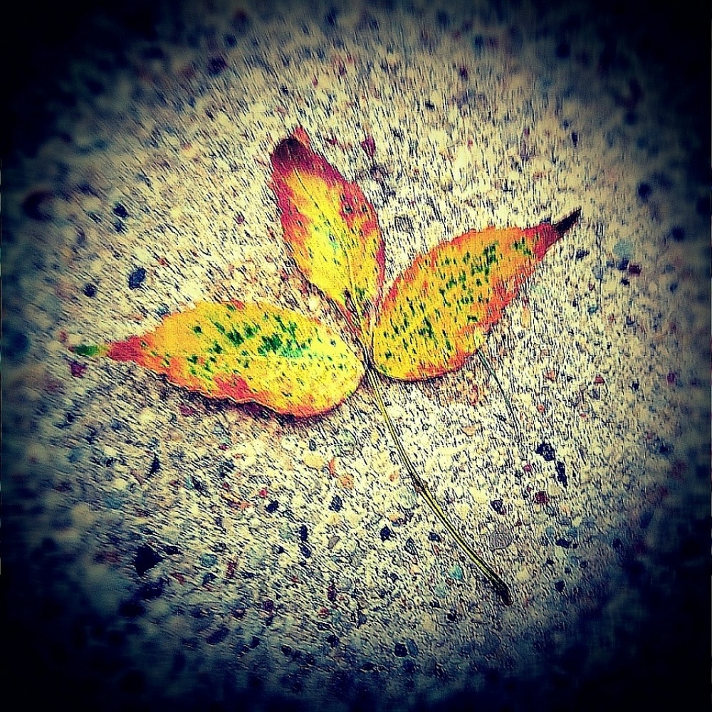 Meet your Posher, Relyn